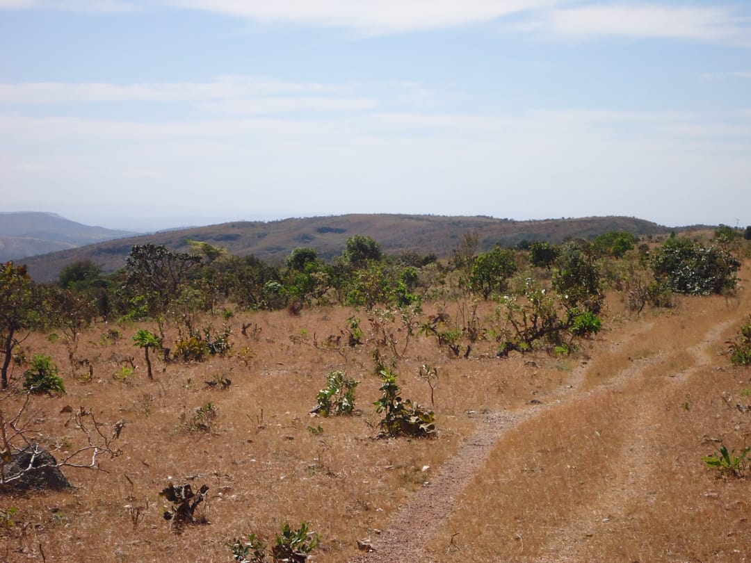 Fazenda à Venda – Município de Niquelândia/GO