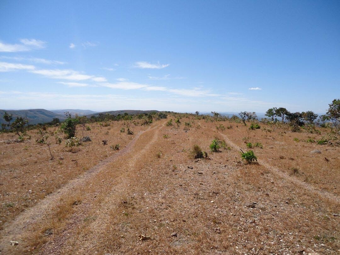 Fazenda à Venda – Município de Niquelândia/GO