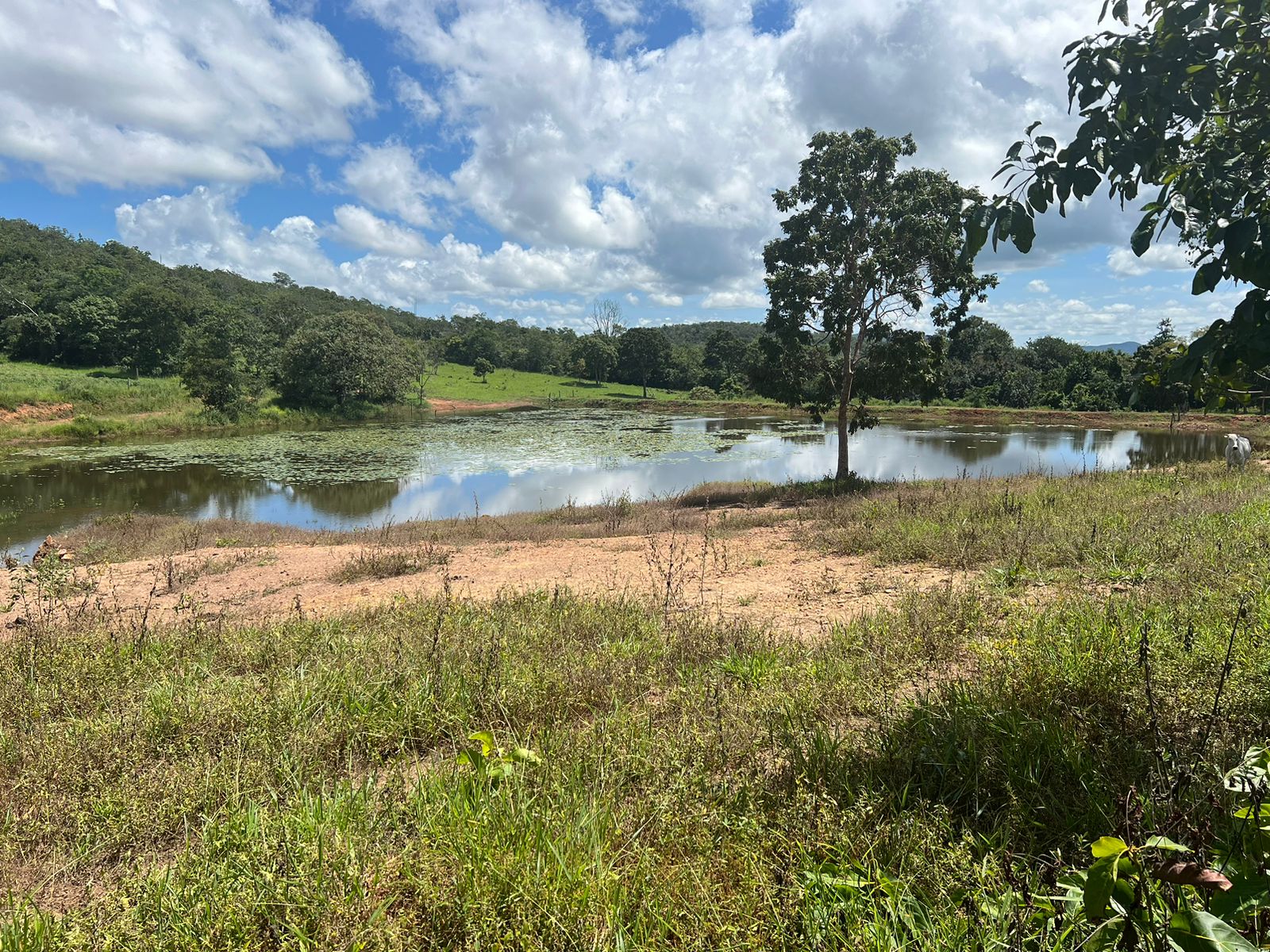 Fazenda 45 Alqueires com Infraestrutura Completa - Pirenópolis/GO