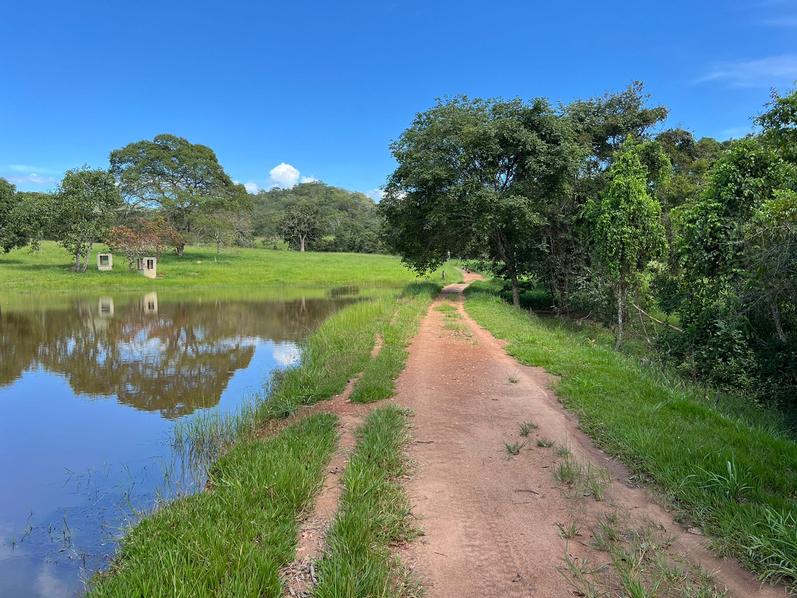Fazenda 45 Alqueires com Infraestrutura Completa - Pirenópolis/GO
