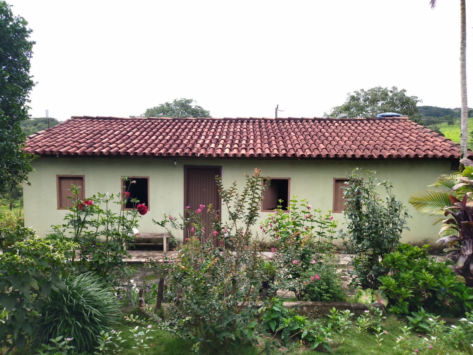 Fazenda de 25 Hectares com Escritura em Bonfinópolis - Ideal para Pecuária