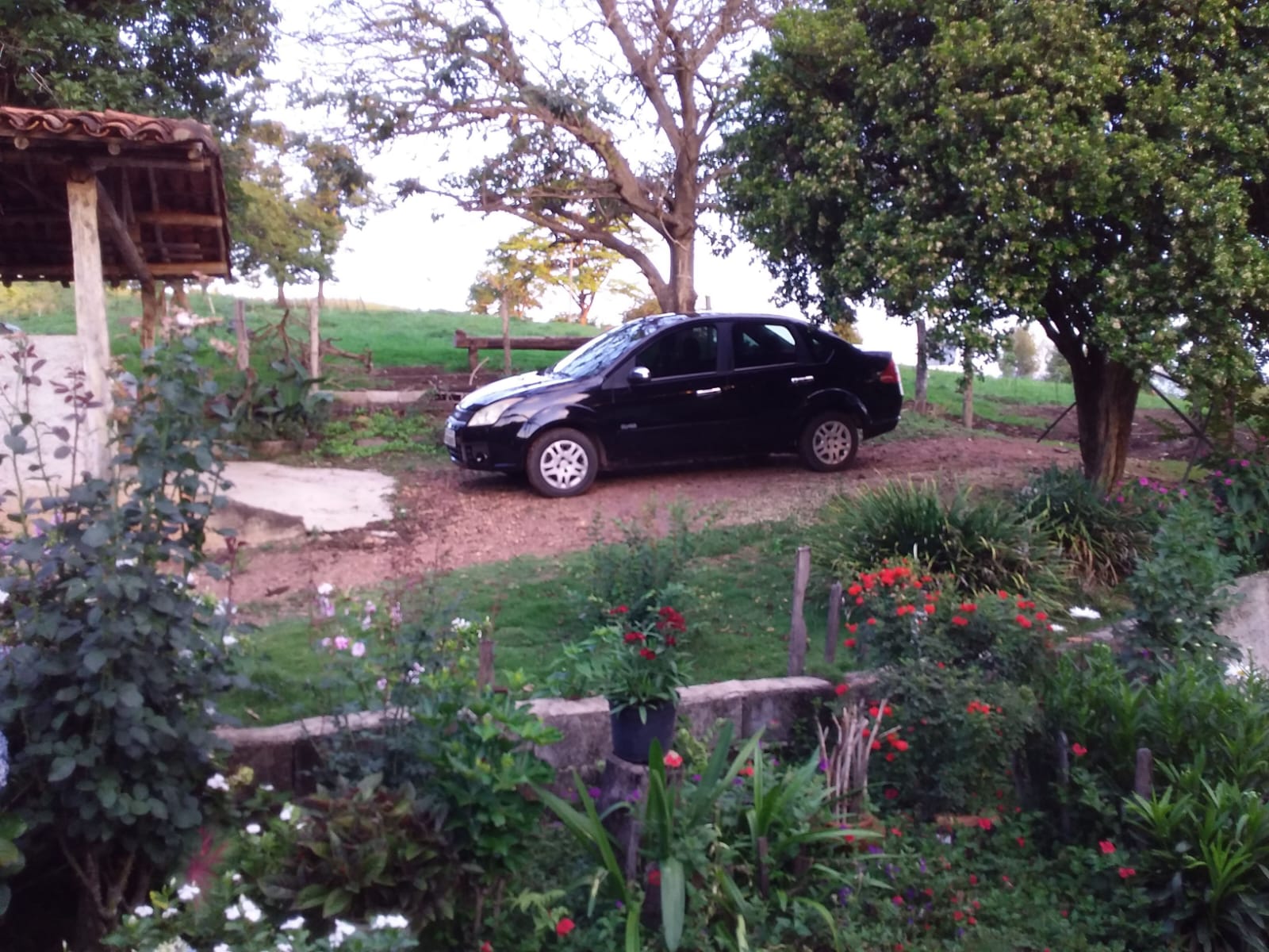 Fazenda de 25 Hectares com Escritura em Bonfinópolis - Ideal para Pecuária