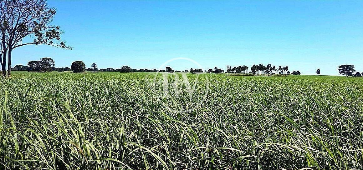 Fazenda à venda, rural, Quirinópolis, GO