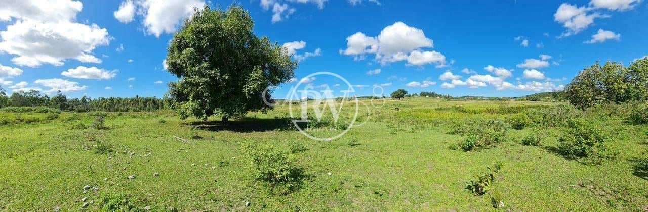 Fazenda Perobas, Araruama 251 Hectares com Vocação Pecuária e Potencial Urbano