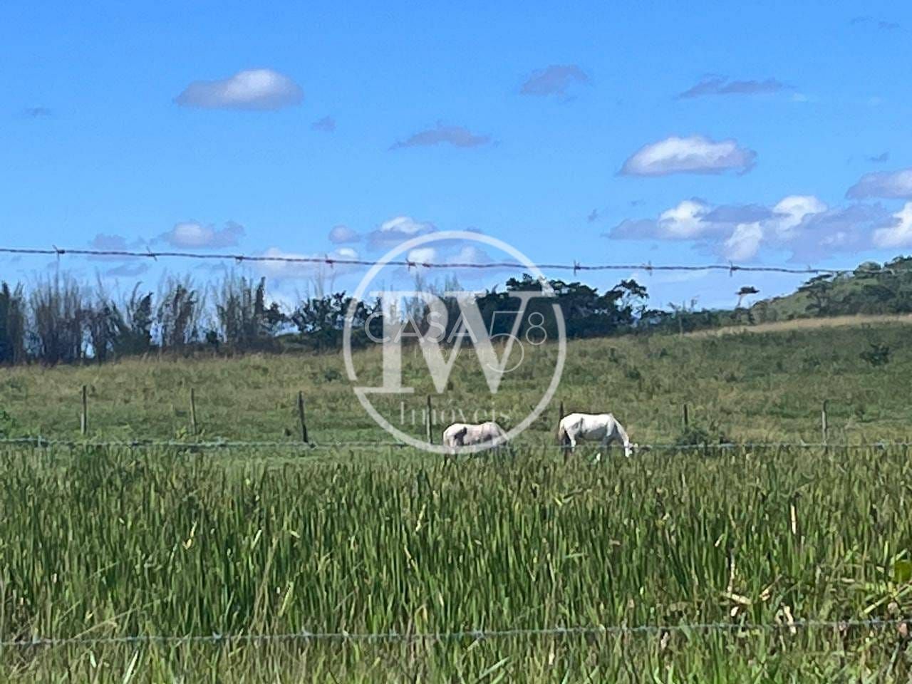 Fazenda Perobas, Araruama 251 Hectares com Vocação Pecuária e Potencial Urbano