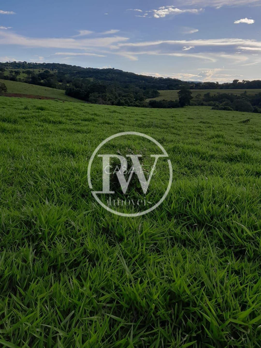 Fazenda de 44 alqu. para Gadoà venda próximo a Mossâmedes e Itaberaí, GO