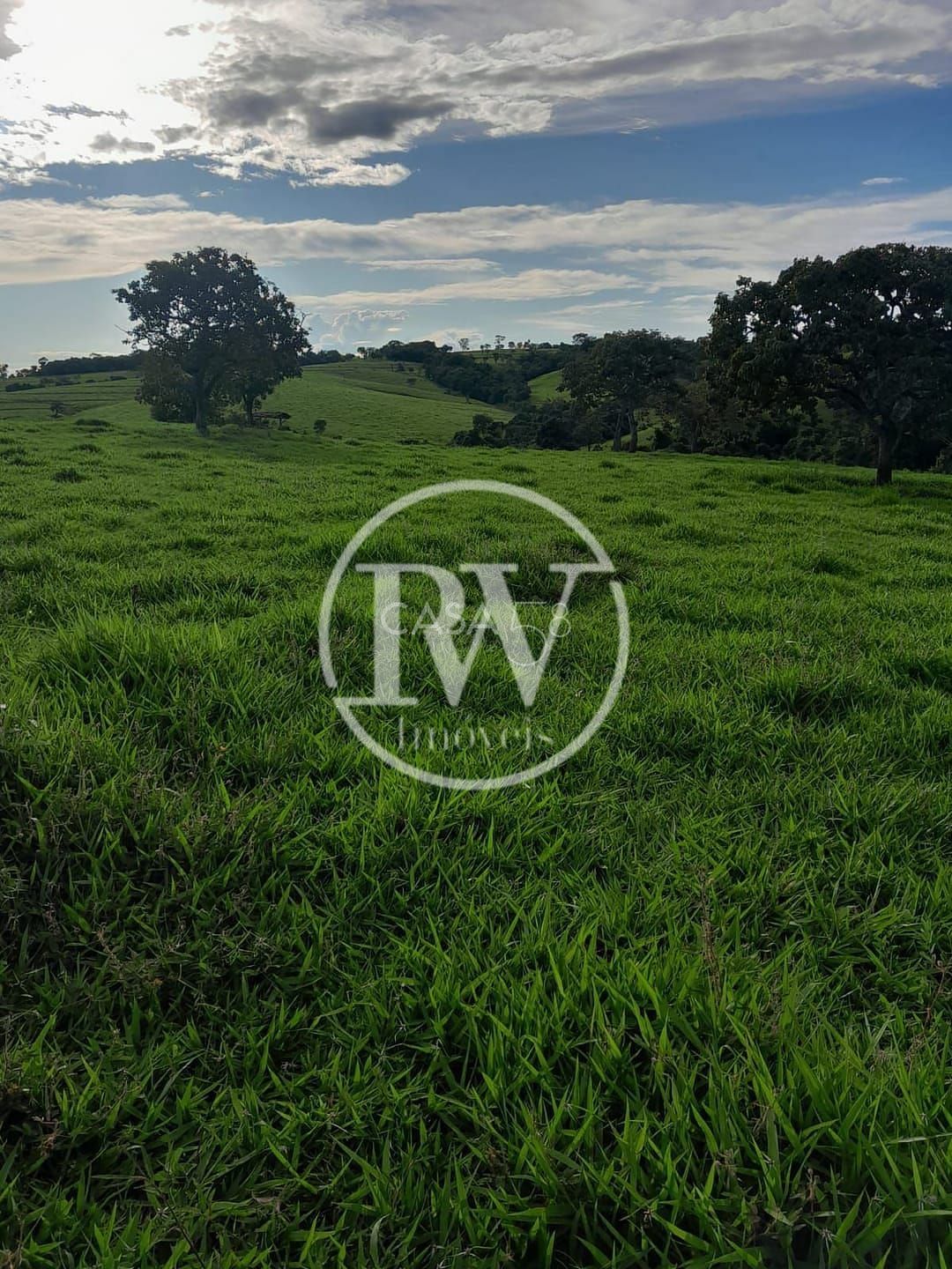 Fazenda de 44 alqu. para Gadoà venda próximo a Mossâmedes e Itaberaí, GO