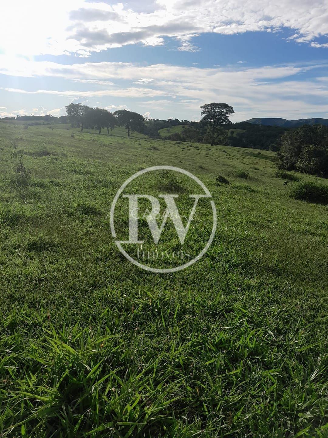 Fazenda de 44 alqu. para Gadoà venda próximo a Mossâmedes e Itaberaí, GO