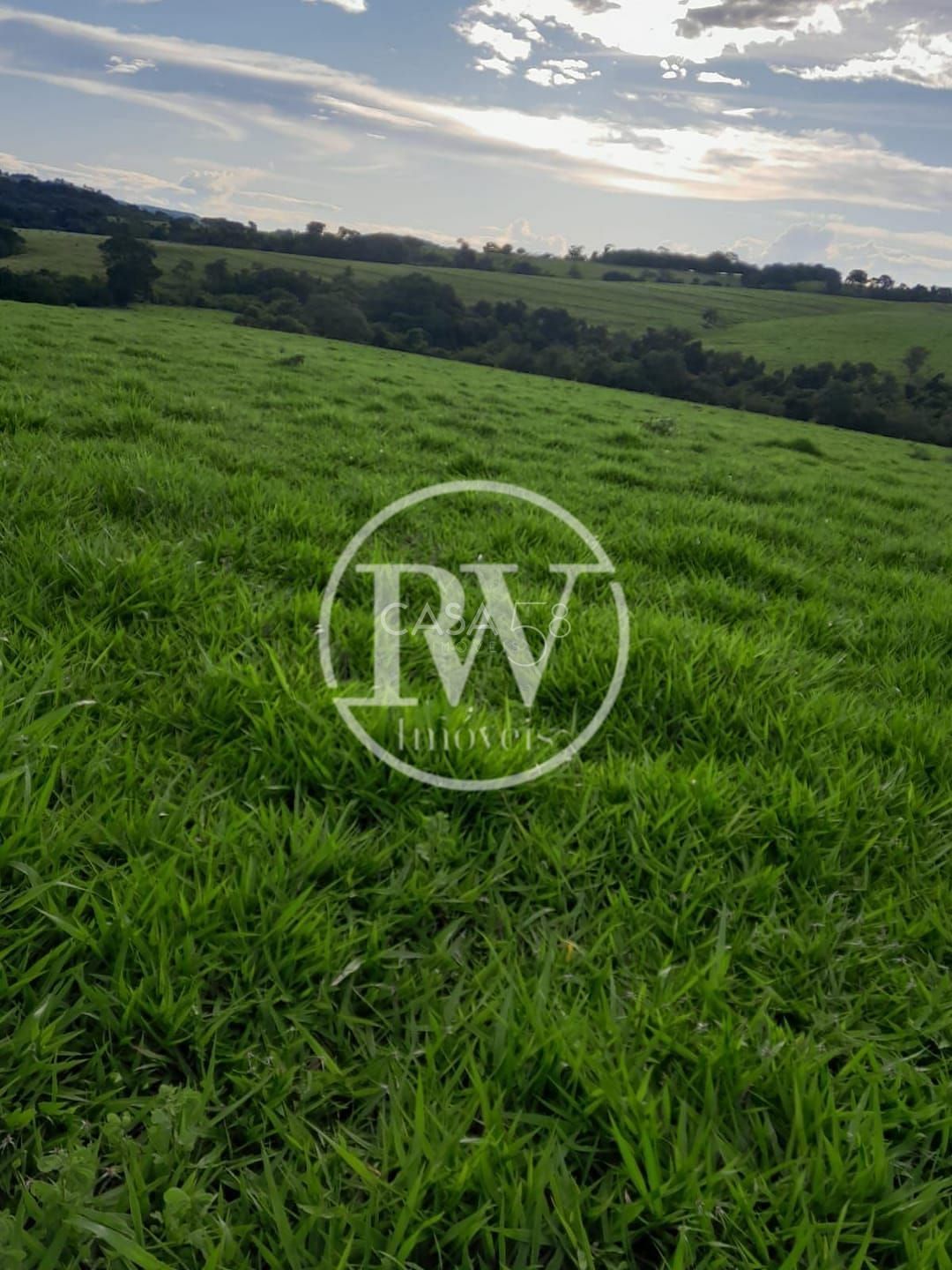 Fazenda de 44 alqu. para Gadoà venda próximo a Mossâmedes e Itaberaí, GO