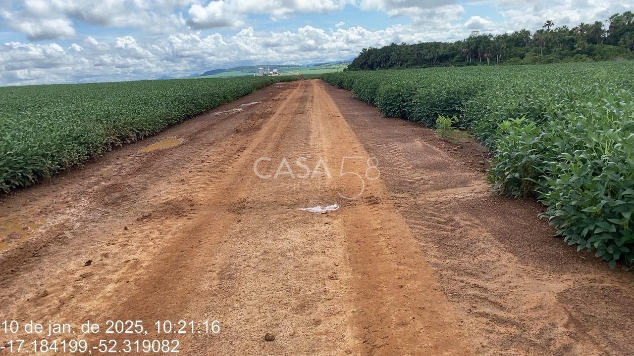 Fazenda de 11.963 ha à Venda em Caiapônia – GO | Alta Produtividade para Grãos