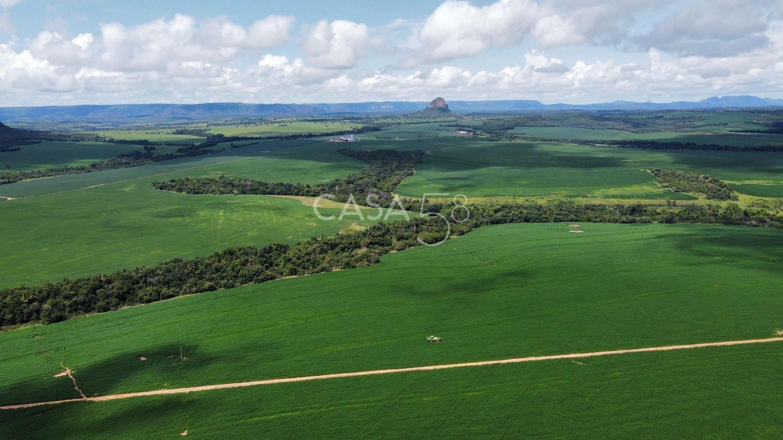 Fazenda de 11.963 ha à Venda em Caiapônia – GO | Alta Produtividade para Grãos