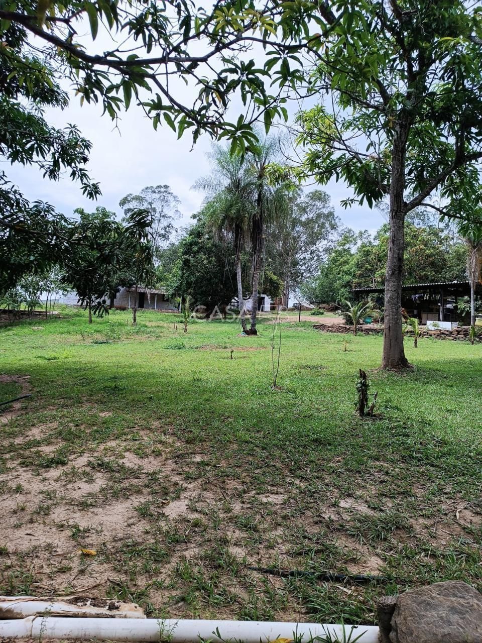 Fazenda à Venda com 36 Alqueires em São Miguel do Passa Quatro – GO