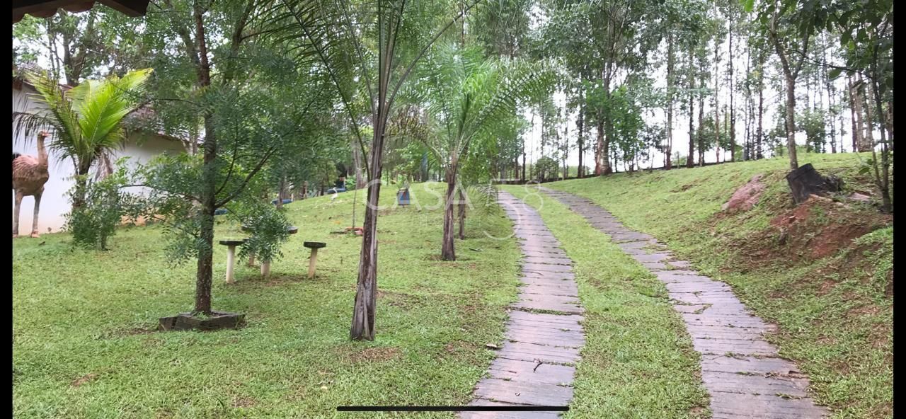 Fazenda à Venda em Bela Vista de Goiás – GO | 35 Alqueires | 25 em Lavoura