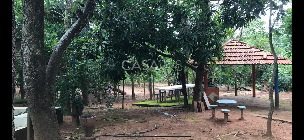 Fazenda à Venda em Bela Vista de Goiás – GO | 35 Alqueires | 25 em Lavoura