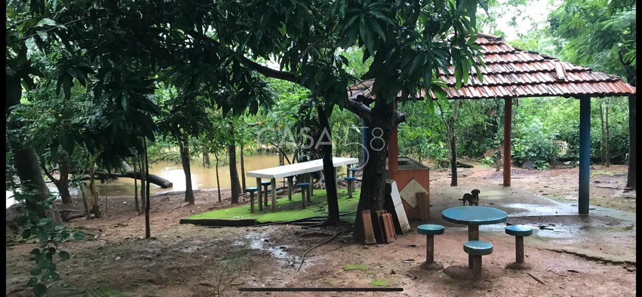 Fazenda à Venda em Bela Vista de Goiás – GO | 35 Alqueires | 25 em Lavoura