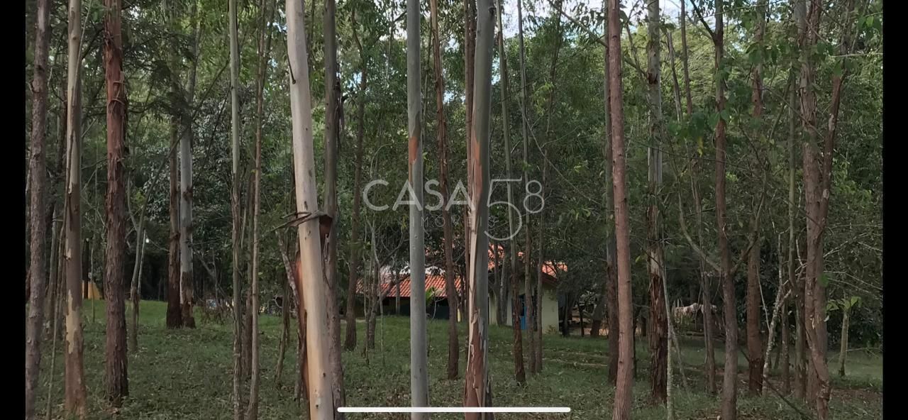 Fazenda à Venda em Bela Vista de Goiás – GO | 35 Alqueires | 25 em Lavoura