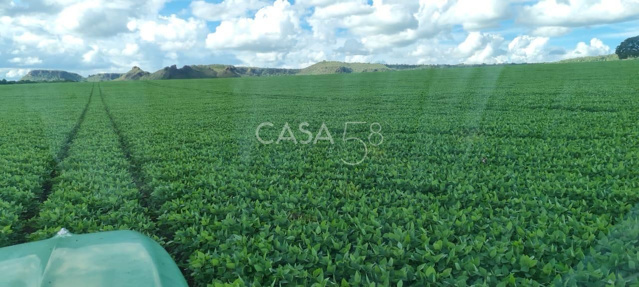 Fazenda à Venda em MineirosGO 126 Alqueires 335 ha em Lavoura Solo de Qualidade