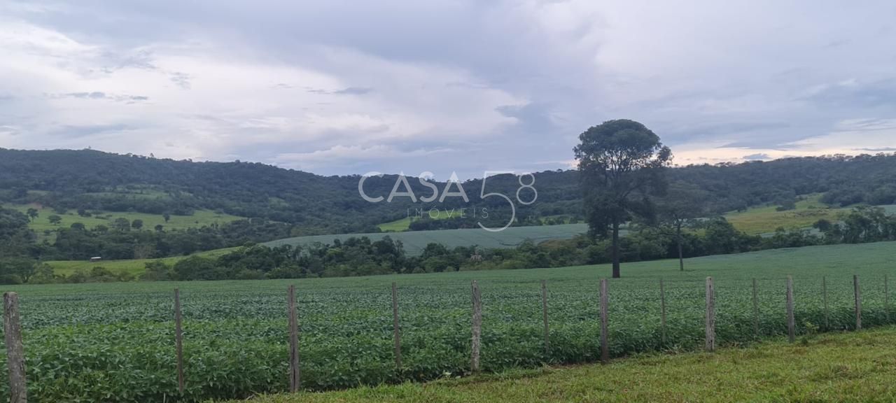 Fazenda à Venda em MineirosGO 126 Alqueires 335 ha em Lavoura Solo de Qualidade