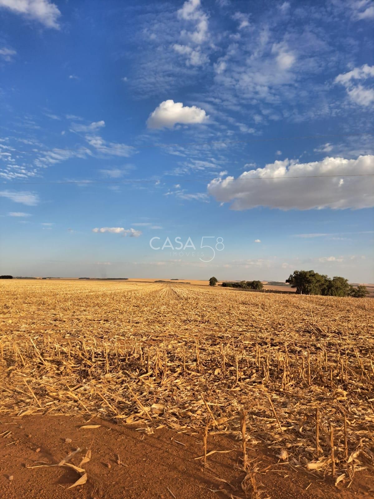 Fazenda à Venda em Inhumas-GO – 919,6 Hectares de Potencial Produtivo
