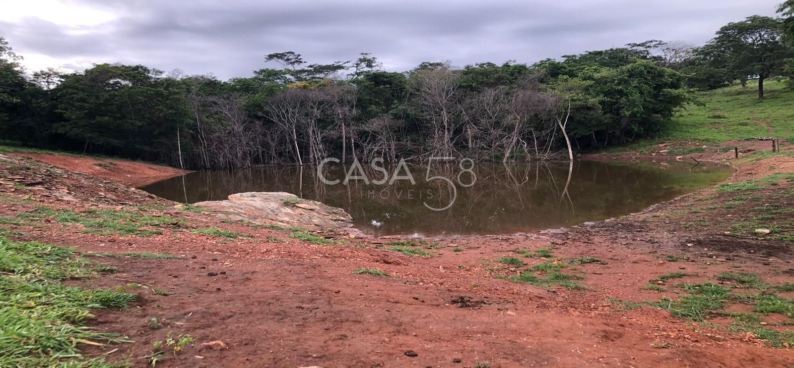 Fazenda à Venda em Marzagão-GO – 240 Alqueires | Pecuária Estruturada