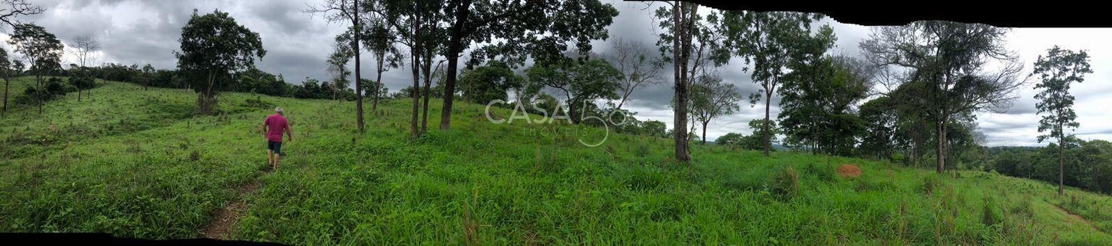 Fazenda à Venda em Marzagão-GO – 240 Alqueires | Pecuária Estruturada