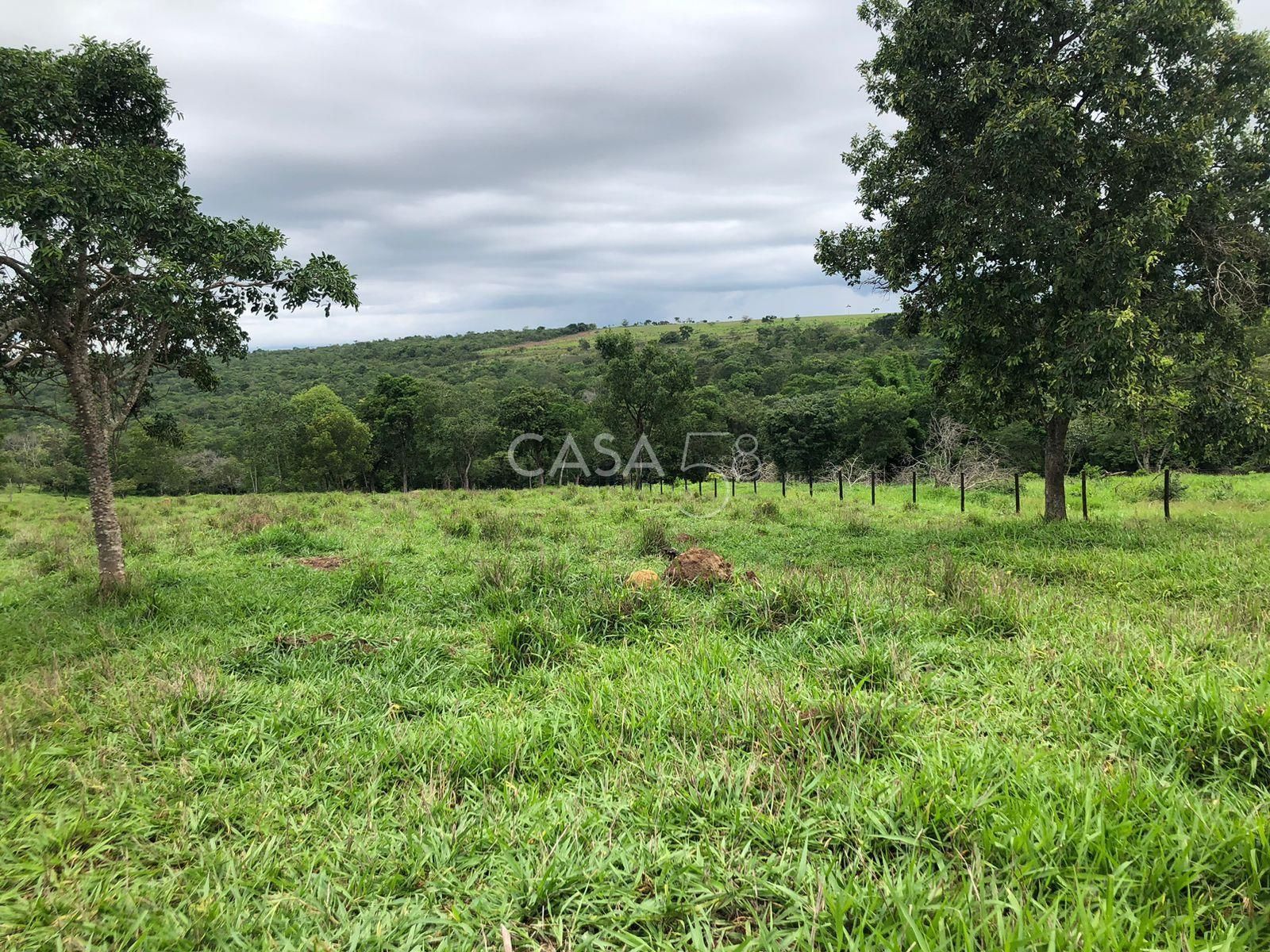 Fazenda à Venda em Marzagão-GO – 240 Alqueires | Pecuária Estruturada