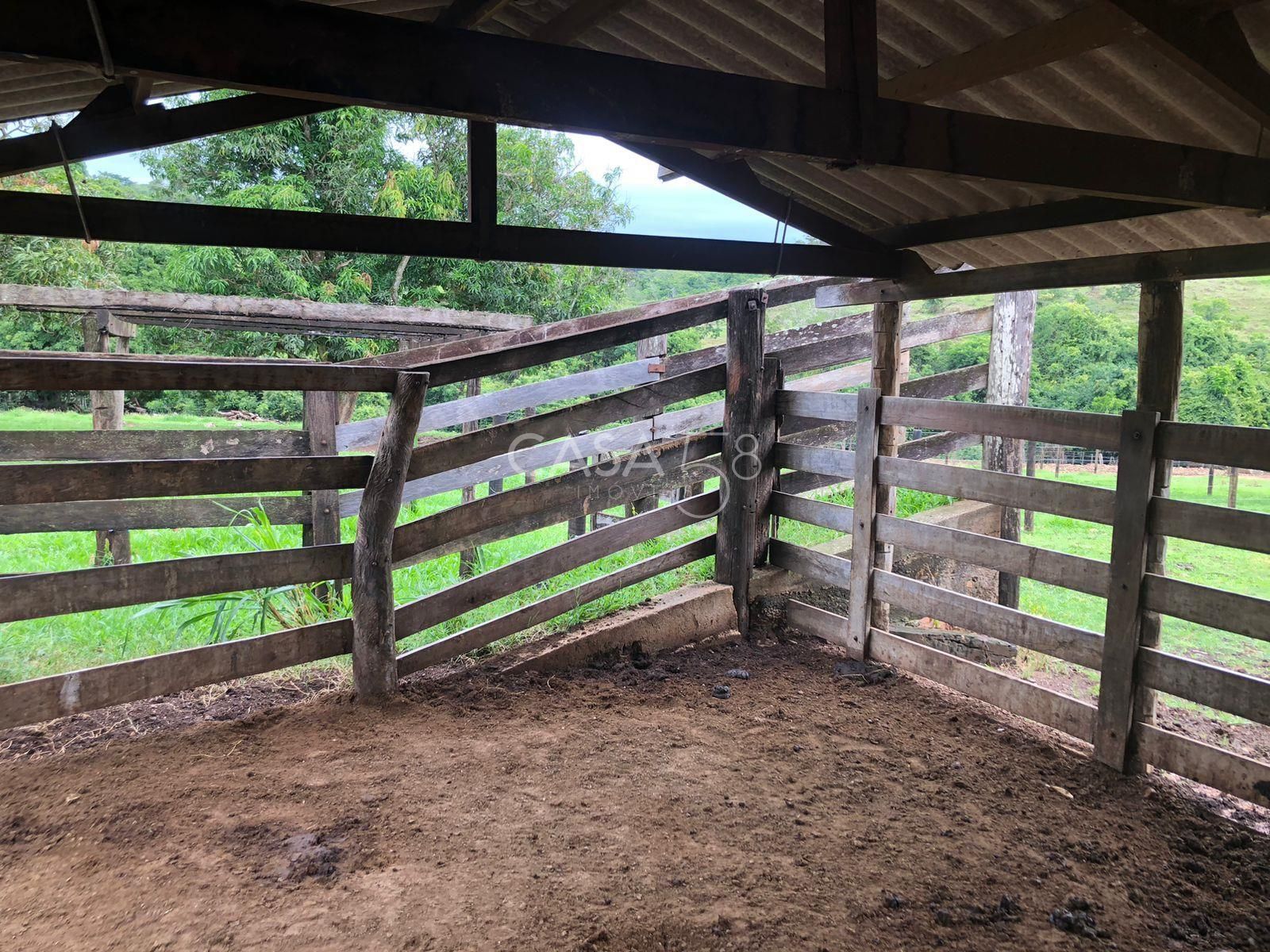 Fazenda à Venda em Marzagão-GO – 240 Alqueires | Pecuária Estruturada