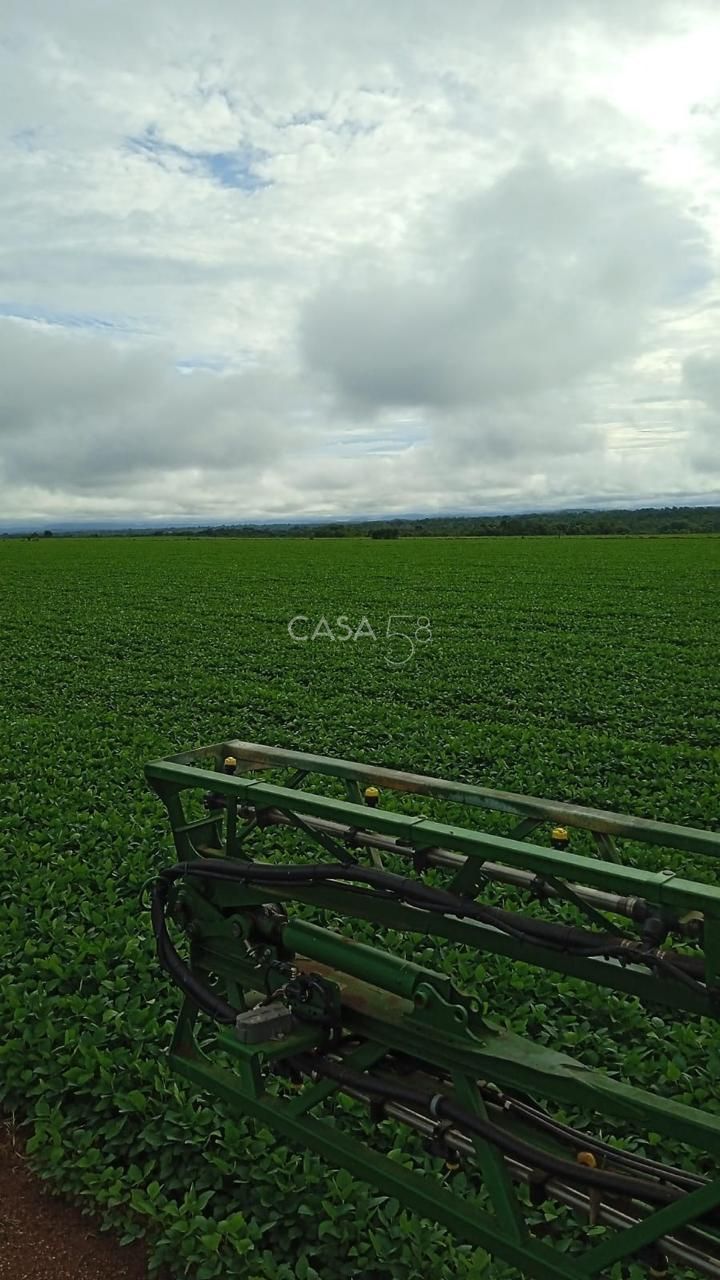 Fazenda à Venda no Vale do Araguaia – Dois Irmãos/TO – 205 Alqueires