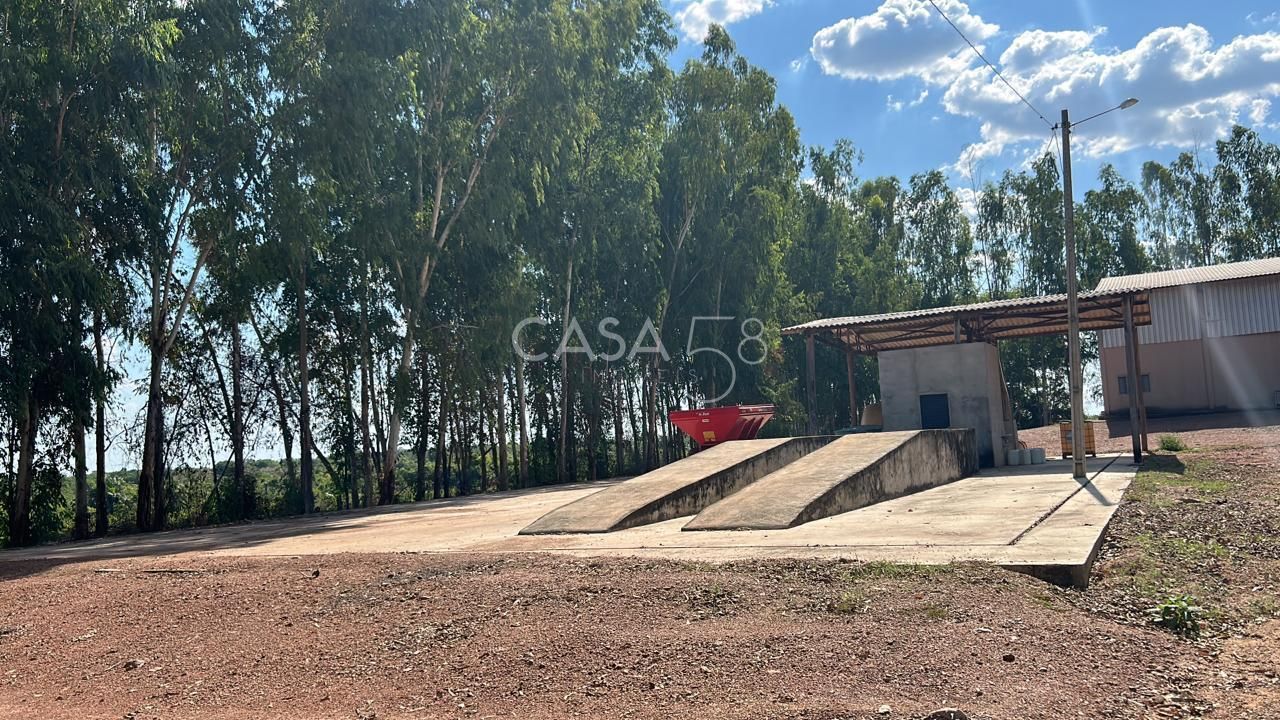 Fazenda à Venda no Vale do Araguaia – Dois Irmãos/TO – 205 Alqueires