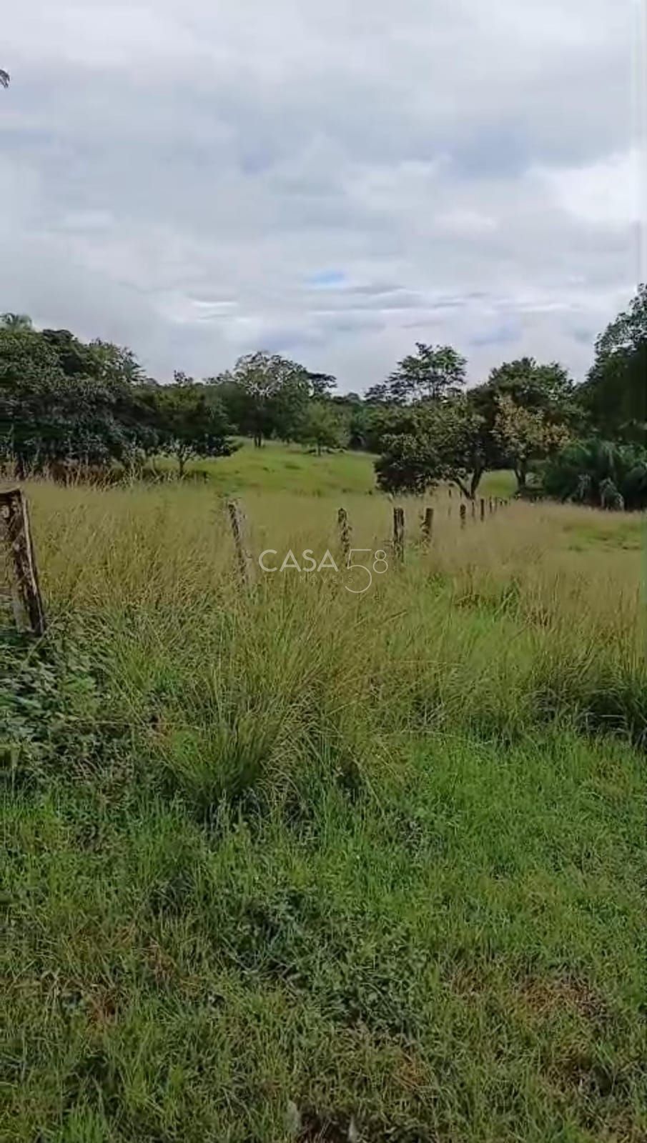 Sítio à venda em Goiás Velho – 42 hectares, pasto formado e água abundante
