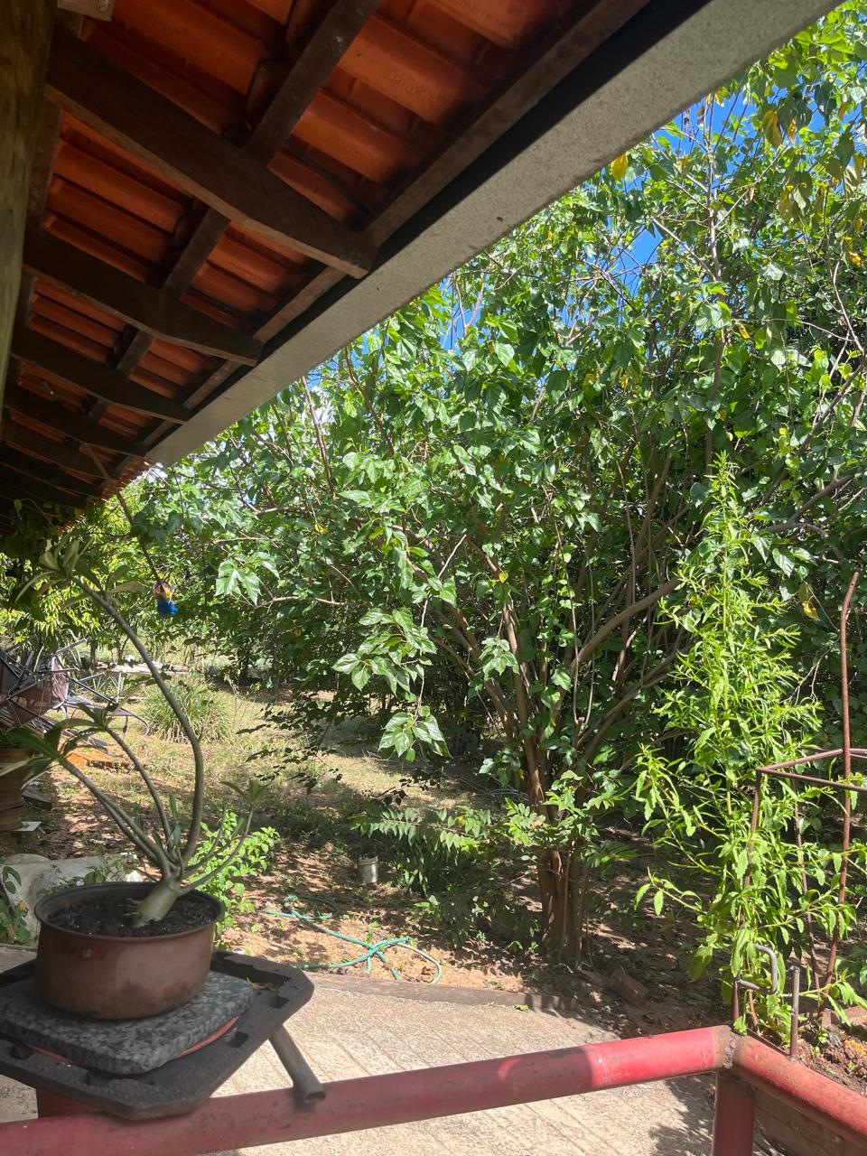 Fazenda a venda na Serra da Mesa / 5 alqueires / 3 casas