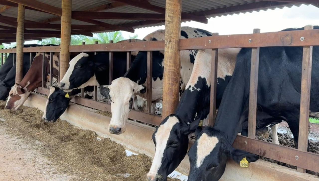 Fazenda à venda - Porteira fechada / Bela Vista de Goiás