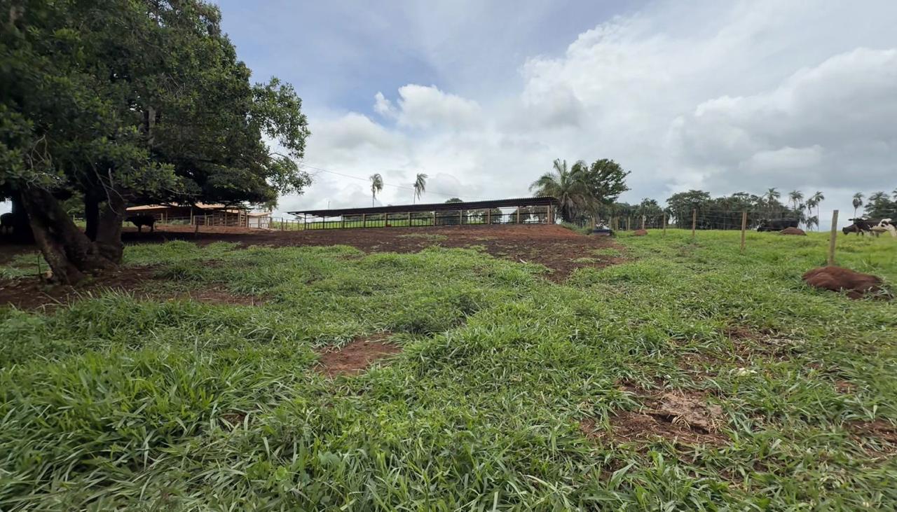 Fazenda à venda - Porteira fechada / Bela Vista de Goiás