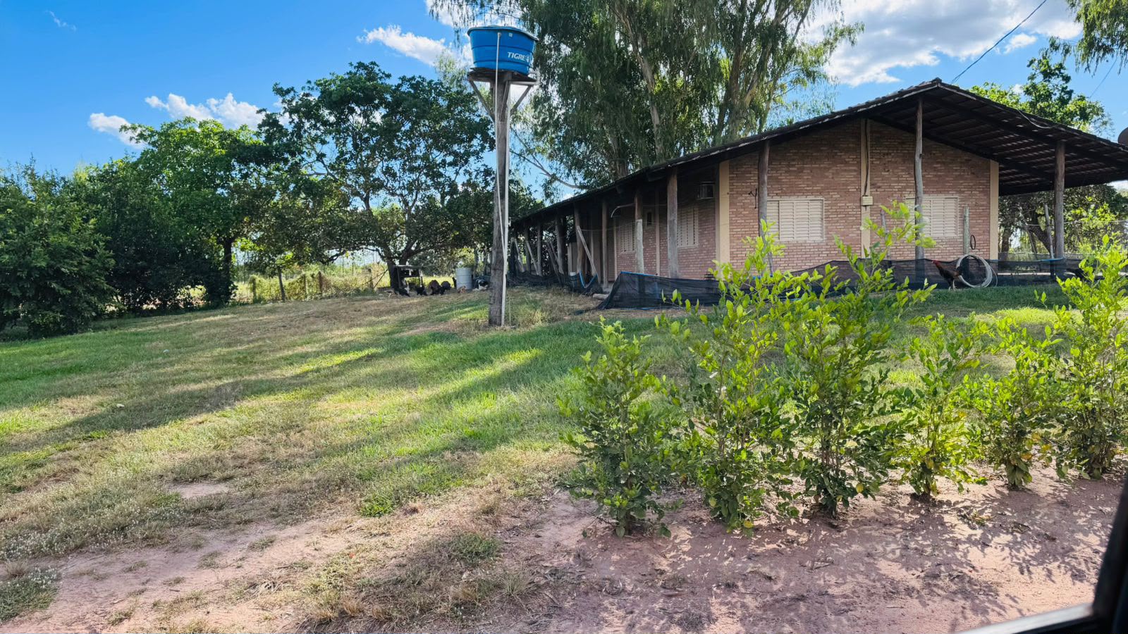 Fazenda à Venda em Aruanã, GO / Dupla Aptidão / Área Total / 13.765 hectares / Área em Pastagens 9.300 hectares / Área em Agricultura 900 hectares