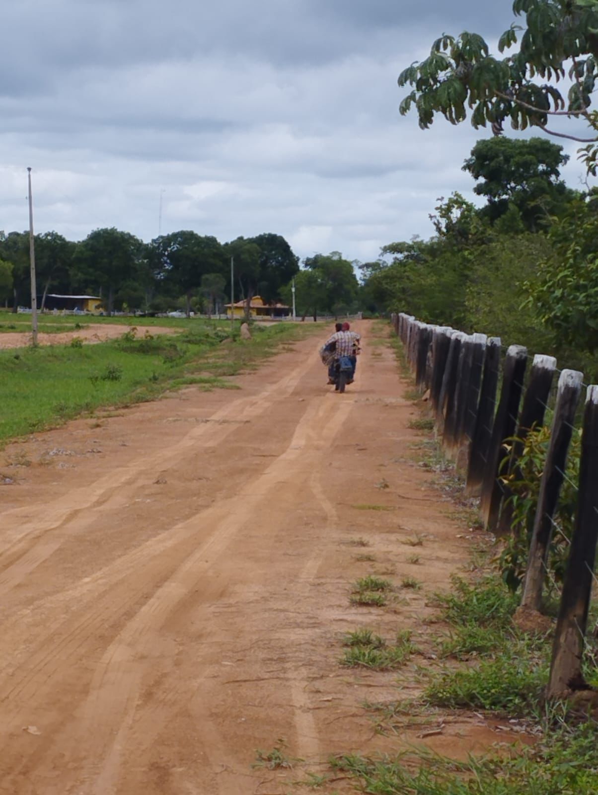Fazenda à Venda em Nova Crixás, GO / 4080 hectares de área total / 2904 hectares de área aberta / 9 km do Rio Araguaia