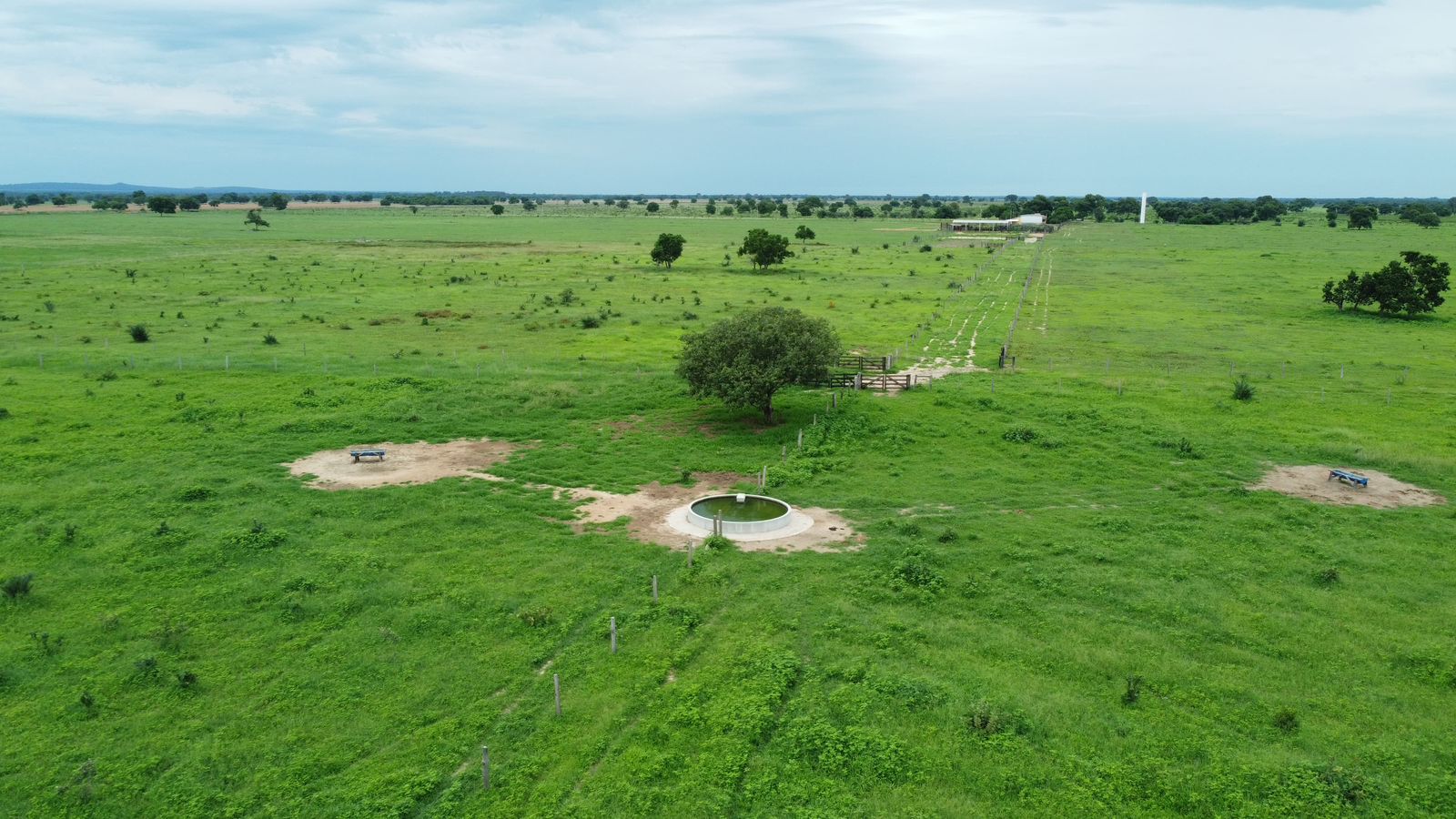 Fazenda à Venda em Araguaiana - MT / 4.158 hectares de área total / 2.900 hectares de área de pastagem / 23 divisões de pasto / curral com brete e balança / galpão de máquinas