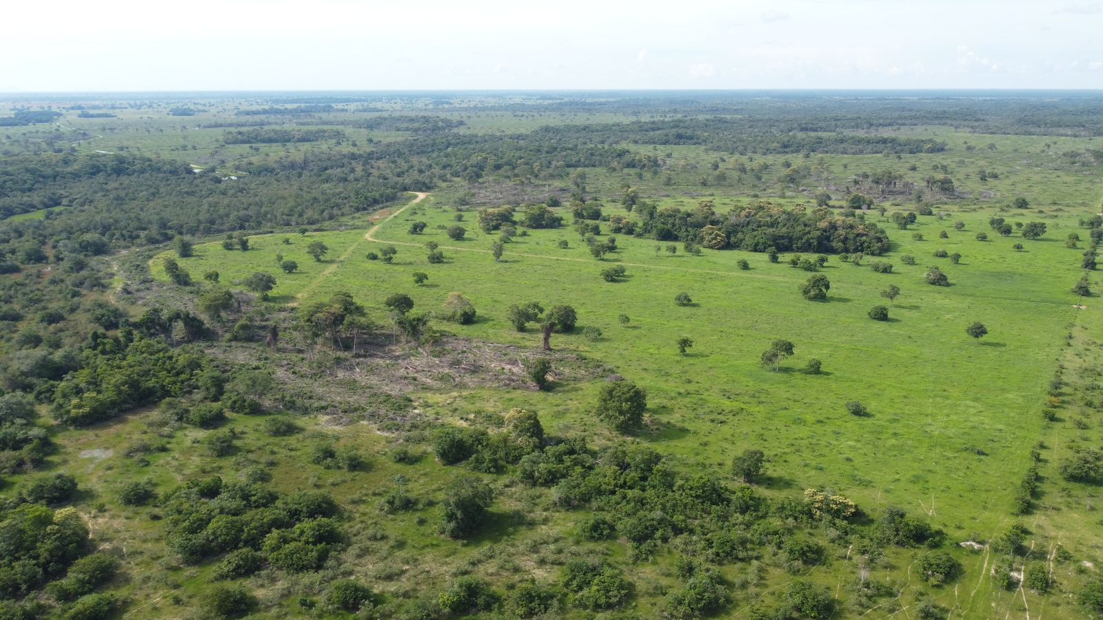 Fazenda à Venda em Araguaiana - MT / 4.158 hectares de área total / 2.900 hectares de área de pastagem / 23 divisões de pasto / curral com brete e balança / galpão de máquinas