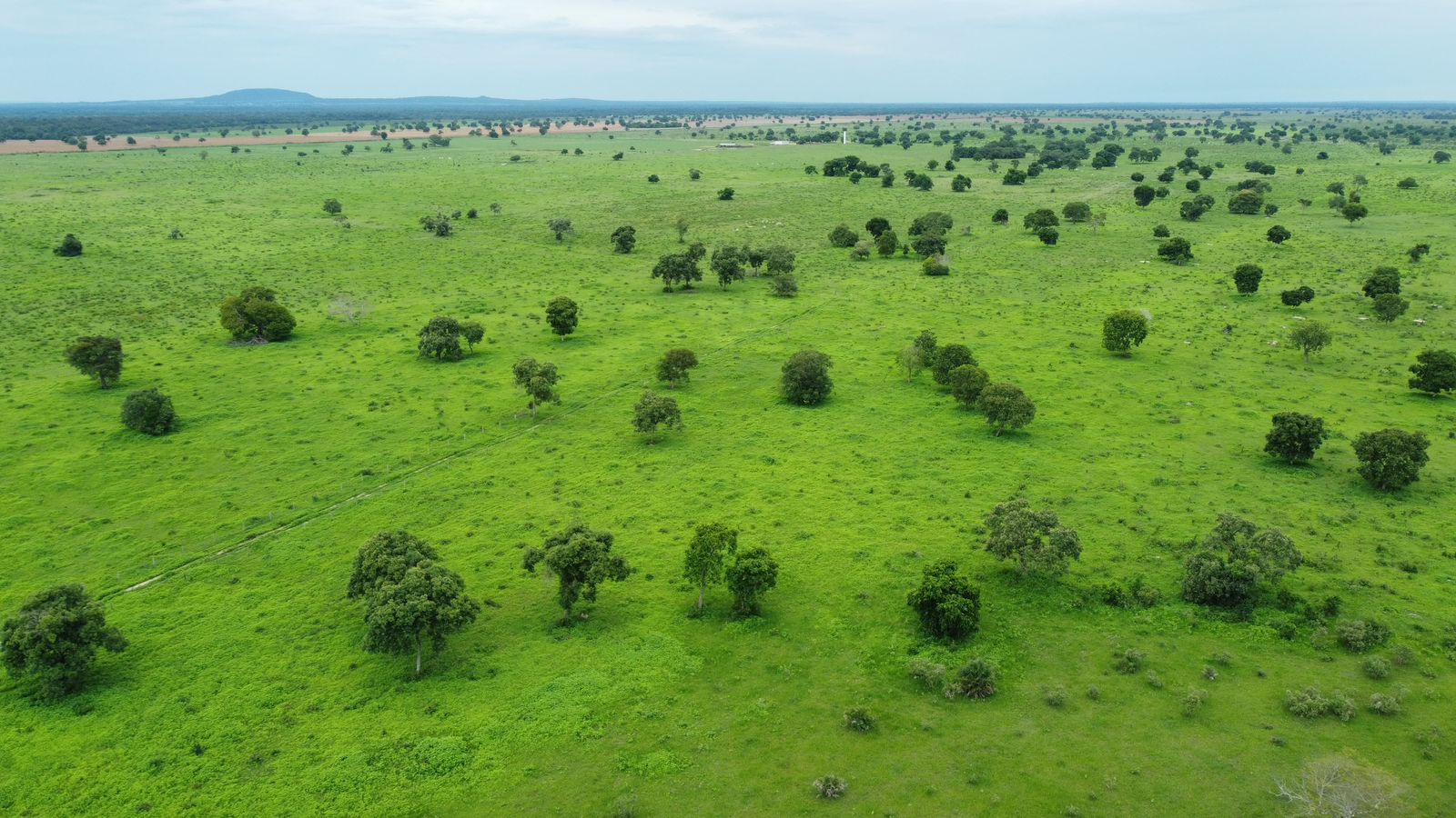 Fazenda à Venda em Araguaiana - MT / 4.158 hectares de área total / 2.900 hectares de área de pastagem / 23 divisões de pasto / curral com brete e balança / galpão de máquinas