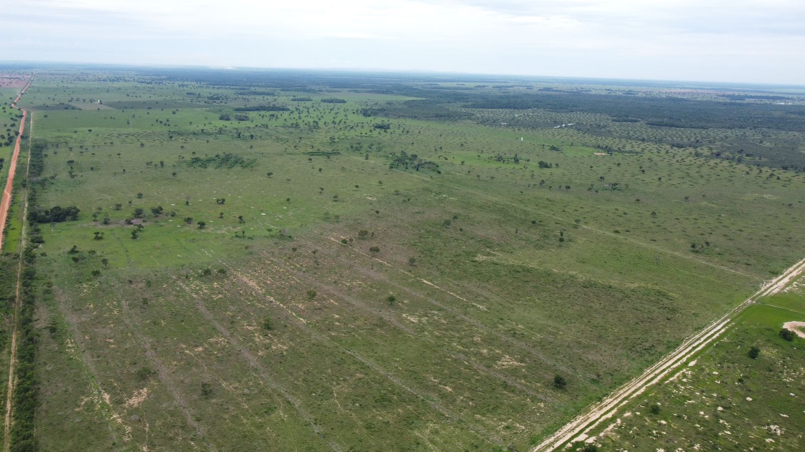Fazenda à Venda em Araguaiana - MT / 4.158 hectares de área total / 2.900 hectares de área de pastagem / 23 divisões de pasto / curral com brete e balança / galpão de máquinas
