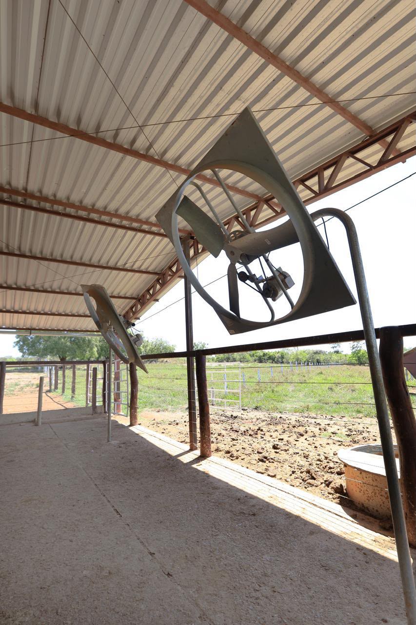 Fazenda de Alto Padrão / 18alq(GO) de Terra de cultura / São Miguel do Passa Quatro / 80km de Goiânia / 400 cabeças de gado / 850 metros de altitude / Fazenda plana / Benfeitorias Completas