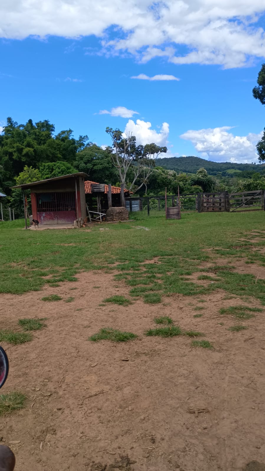 Fazenda à Venda em Bela Vista de Goiás – GO / 32 Alqueires
