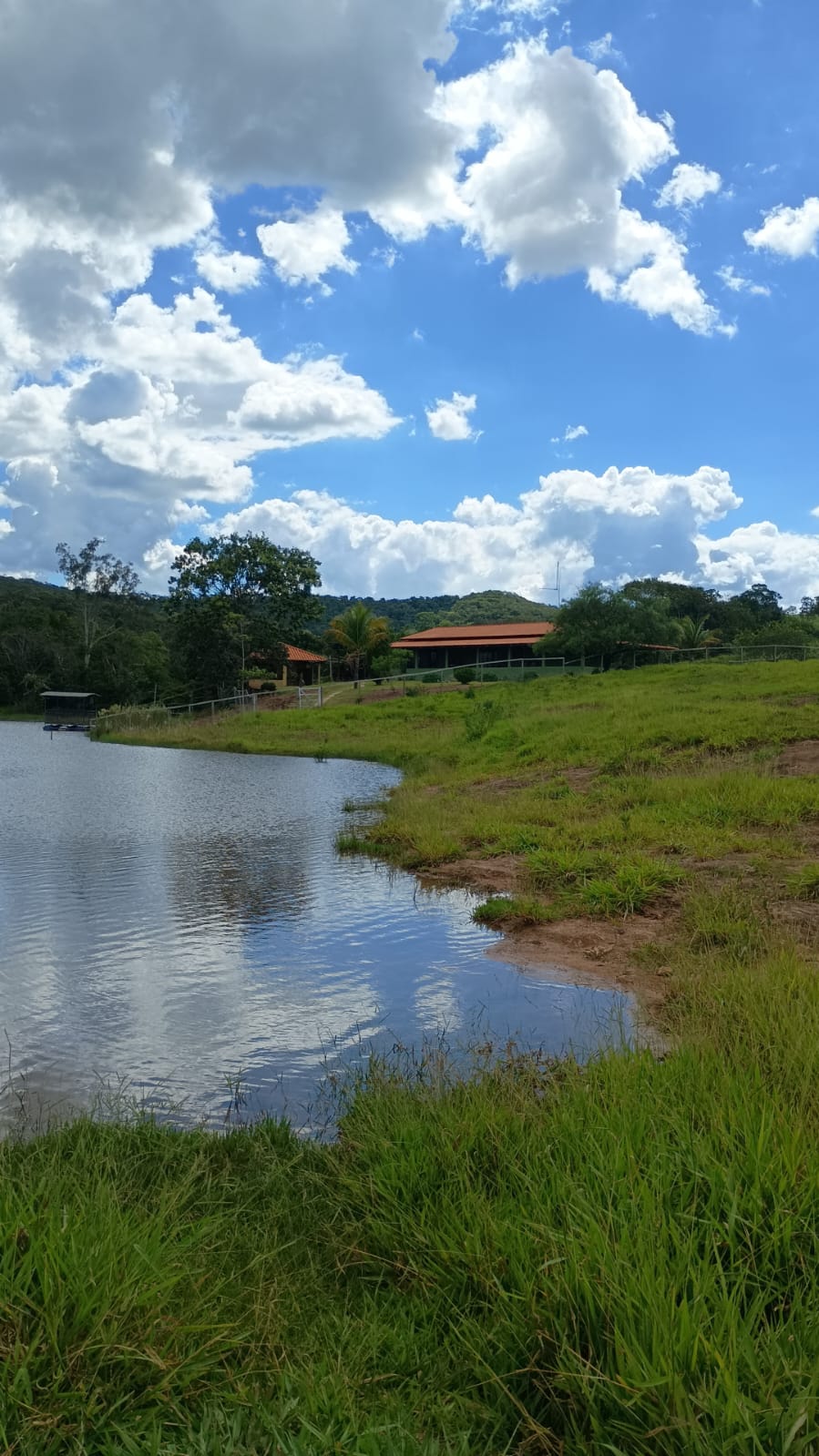 Fazenda à Venda em Bela Vista de Goiás – GO / 32 Alqueires