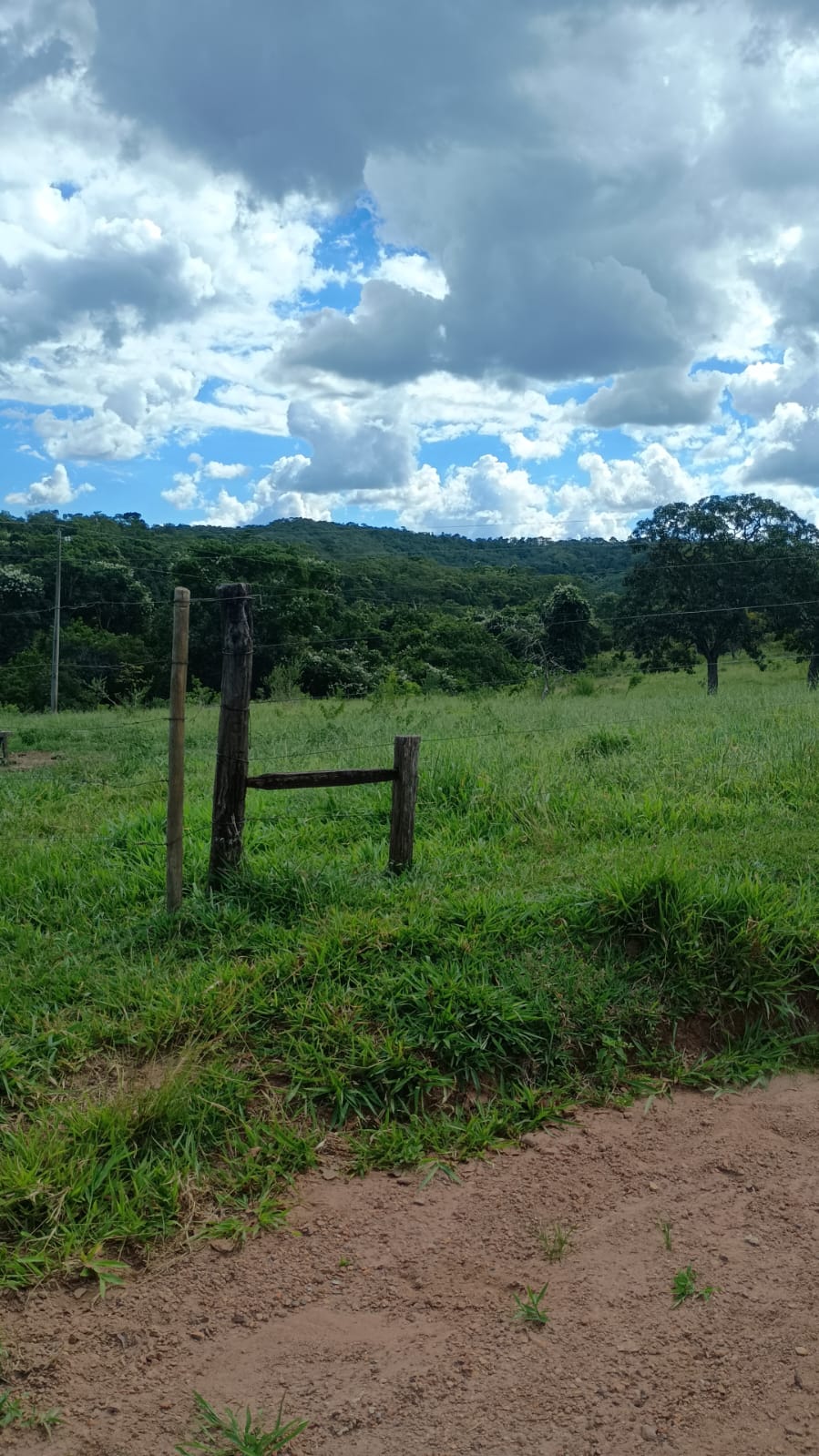 Fazenda à Venda em Bela Vista de Goiás – GO / 32 Alqueires