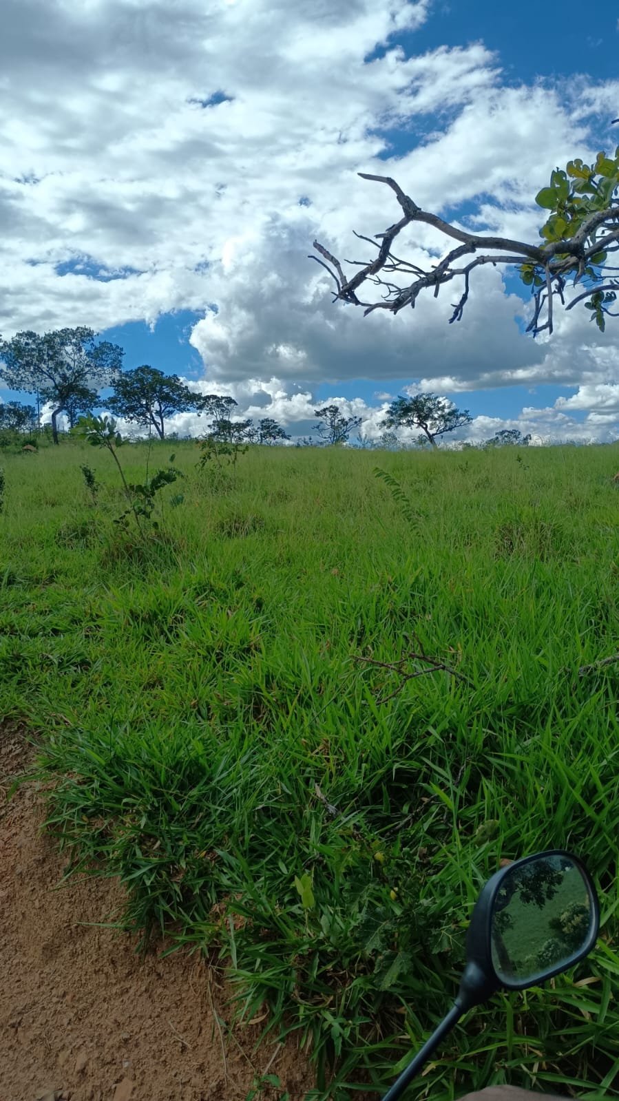 Fazenda à Venda em Bela Vista de Goiás – GO / 32 Alqueires
